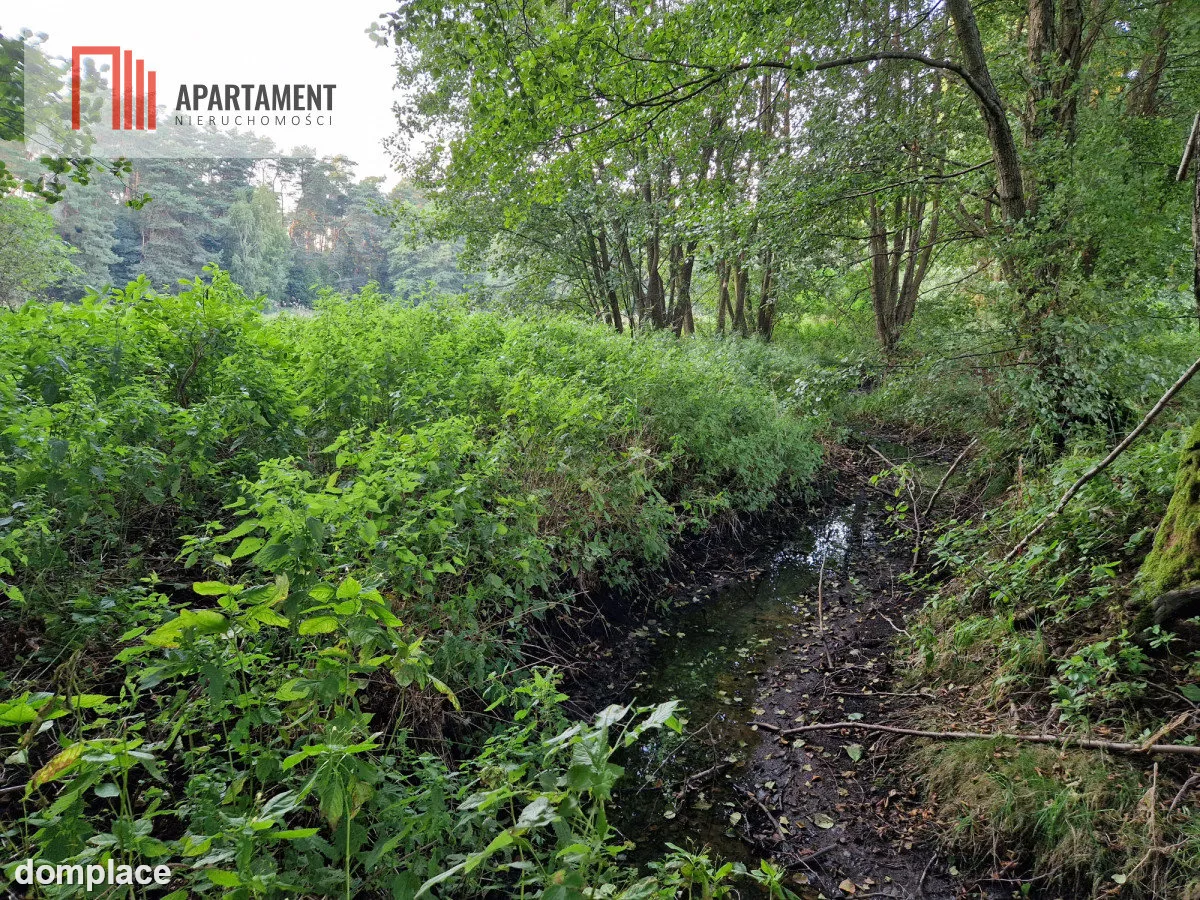 Duża działka przy lesie bez sąsiedztwa — zdjęcie 10
