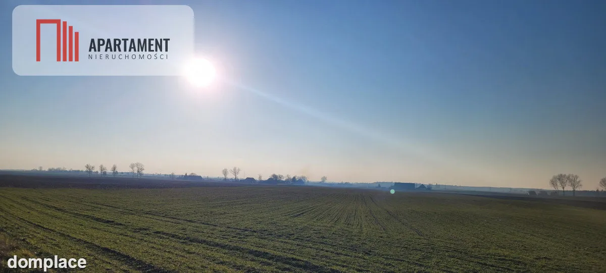 Urocza działka niedaleko Złotnik Kujawskich! — zdjęcie 3