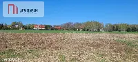 Urocza działka niedaleko Złotnik Kujawskich! — zdjęcie 4