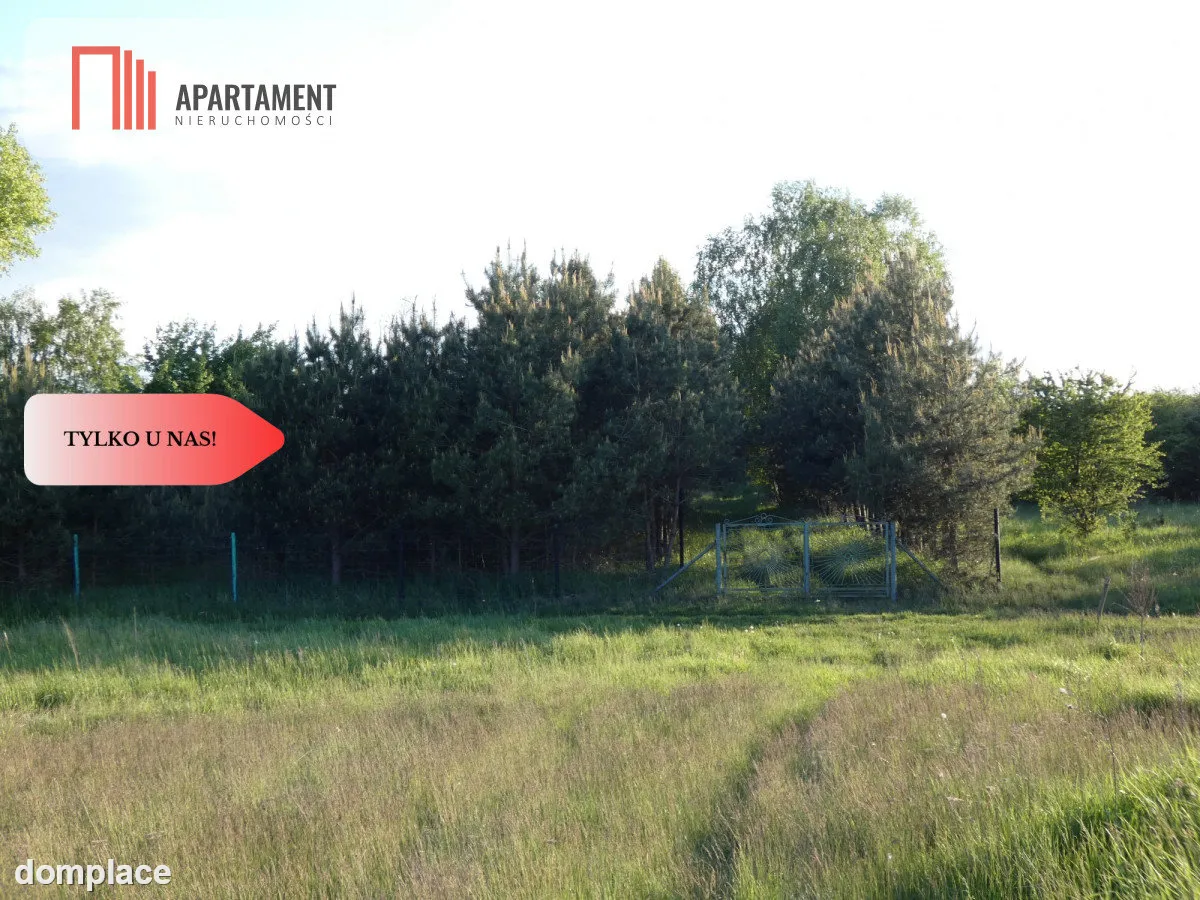 Duża działka z linią brzegową jeziora — zdjęcie 11