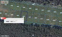 Działka 10 ar/mpzp/widok na las! — zdjęcie 2