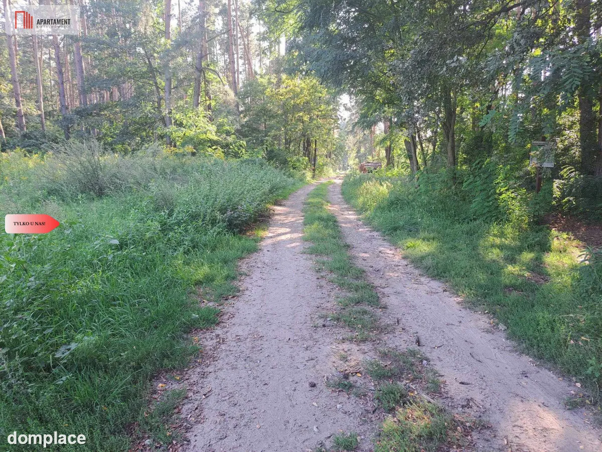 Działka 10 ar budowlana przy ścianie lasu! — zdjęcie 4