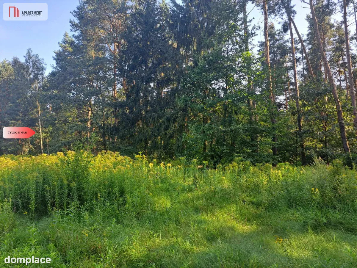 Działka 10 ar budowlana przy ścianie lasu! — zdjęcie 5