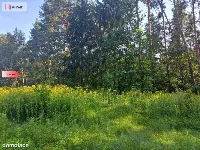Działka 10 ar/mpzp/widok na las! — zdjęcie 4