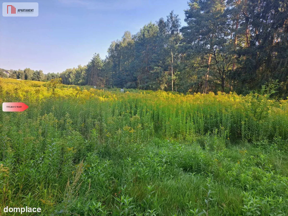 Działka 10 ar budowlana przy ścianie lasu! — zdjęcie 6