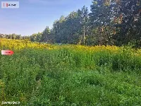 Działka 10 ar/mpzp/widok na las! — zdjęcie 6