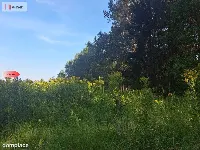 Działka 10 ar/mpzp/widok na las! — zdjęcie 7