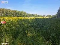 Działka 10 ar/mpzp/widok na las! — zdjęcie 8