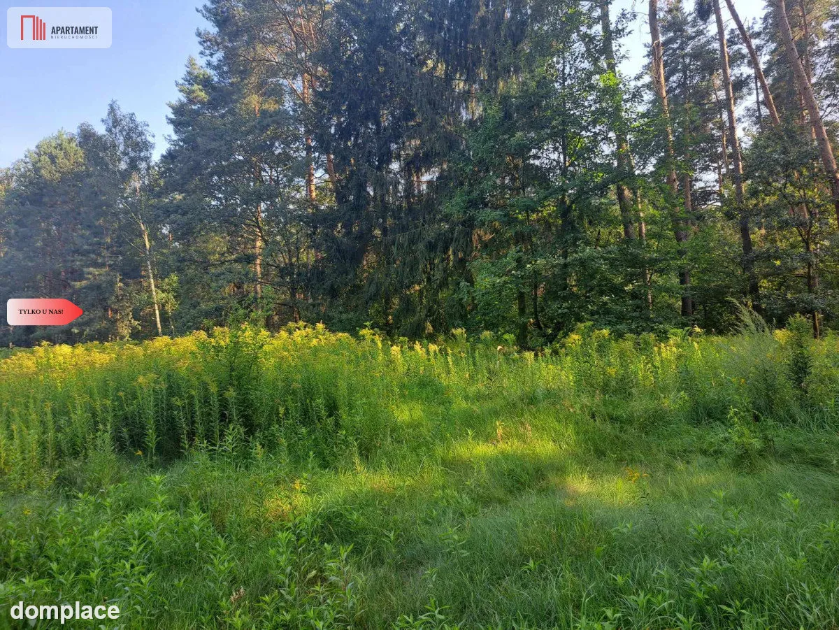 Działka 10 ar budowlana przy ścianie lasu! — zdjęcie 14