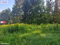 Działka 10 ar/mpzp/widok na las! — zdjęcie 14