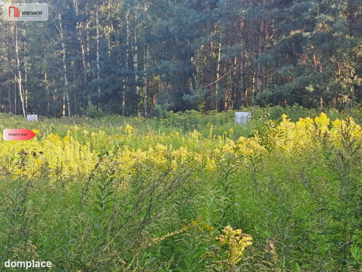 Działka 10 ar budowlana przy ścianie lasu! — zdjęcie 15