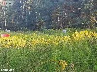 Działka 10 ar/mpzp/widok na las! — zdjęcie 15