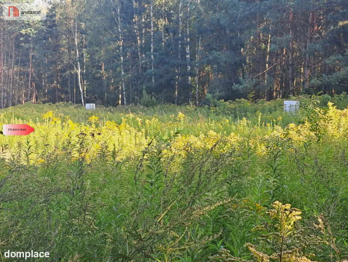 Działka 10 ar budowlana przy ścianie lasu! — zdjęcie 16