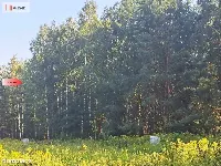 Działka 10 ar/mpzp/widok na las! — zdjęcie 17