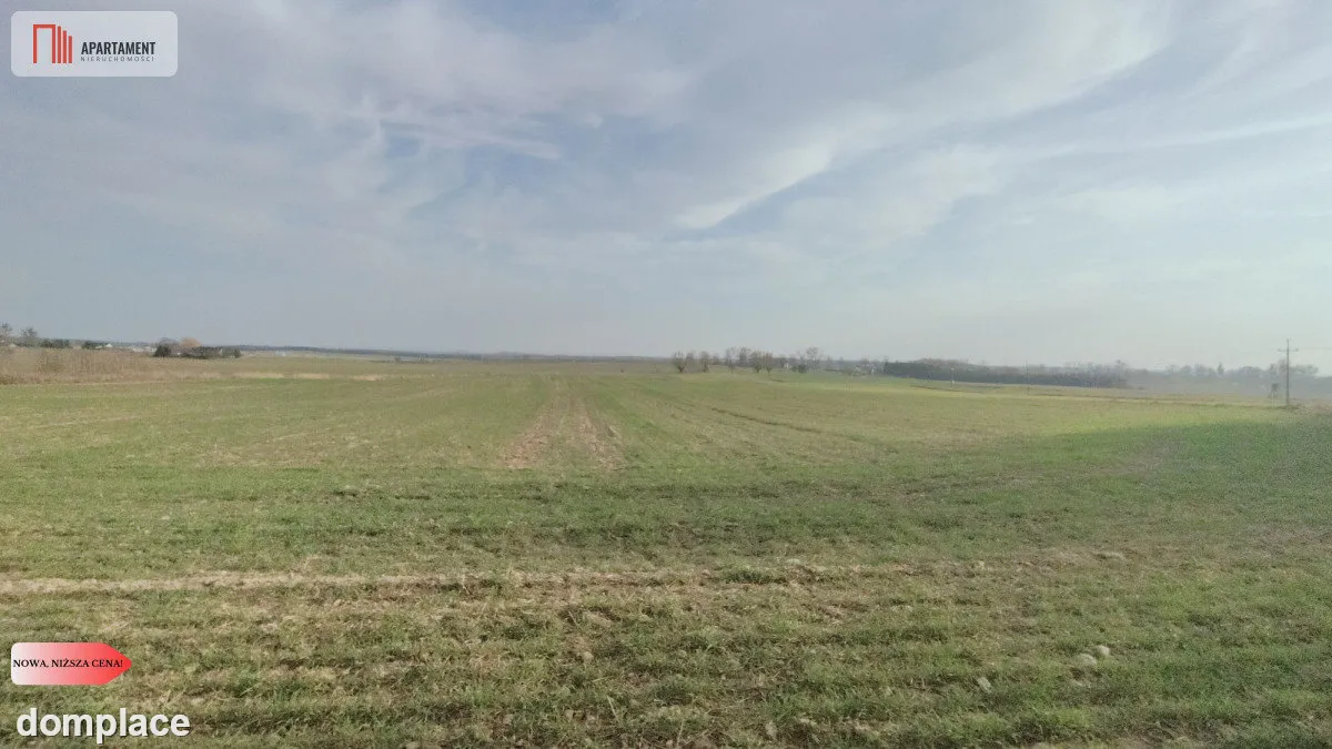 Obniżka CENY! Działka rolna w dobrej LOKALIZACJI!! — zdjęcie 3