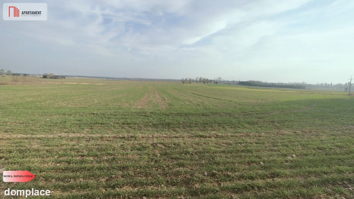 Obniżka CENY! Działka rolna w dobrej LOKALIZACJI!! — zdjęcie 4