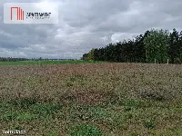 DZIAŁKA NEKLA - SUPER LOKALIZACJA, ŚCIANA LASU — zdjęcie 3