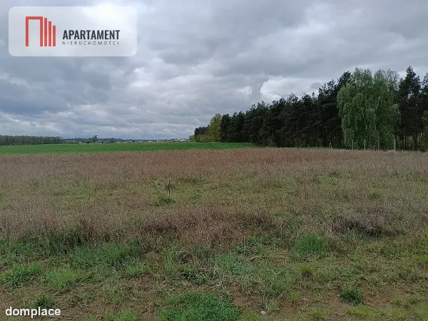 DZIAŁKA NEKLA - SUPER LOKALIZACJA, ŚCIANA LASU — zdjęcie 3