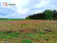 MORZEWIEC 1022m CISZA SPOKÓJ ŚCIANA LASU — zdjęcie 1