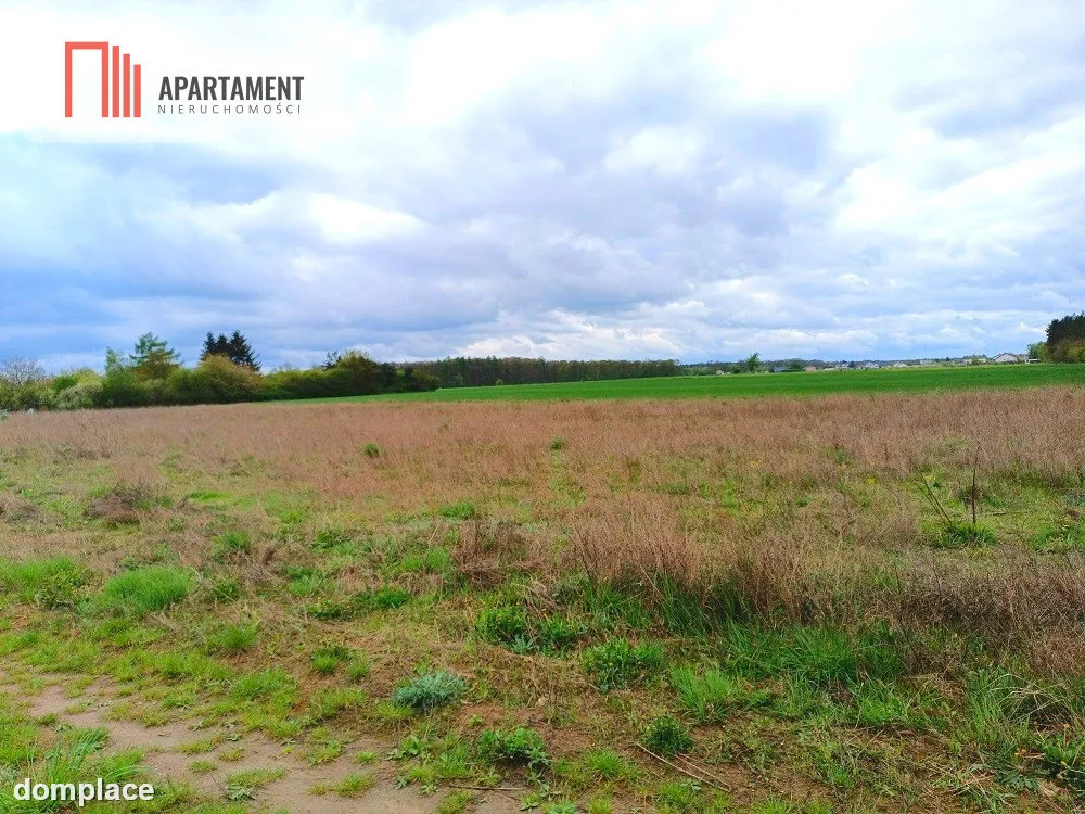 MORZEWIEC 1022m CISZA SPOKÓJ ŚCIANA LASU — zdjęcie 2