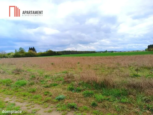MORZEWIEC 1022m CISZA SPOKÓJ ŚCIANA LASU — zdjęcie 2