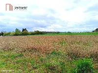 MORZEWIEC 1022m CISZA SPOKÓJ ŚCIANA LASU — zdjęcie 4