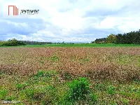 MORZEWIEC 1022m CISZA SPOKÓJ ŚCIANA LASU — zdjęcie 5