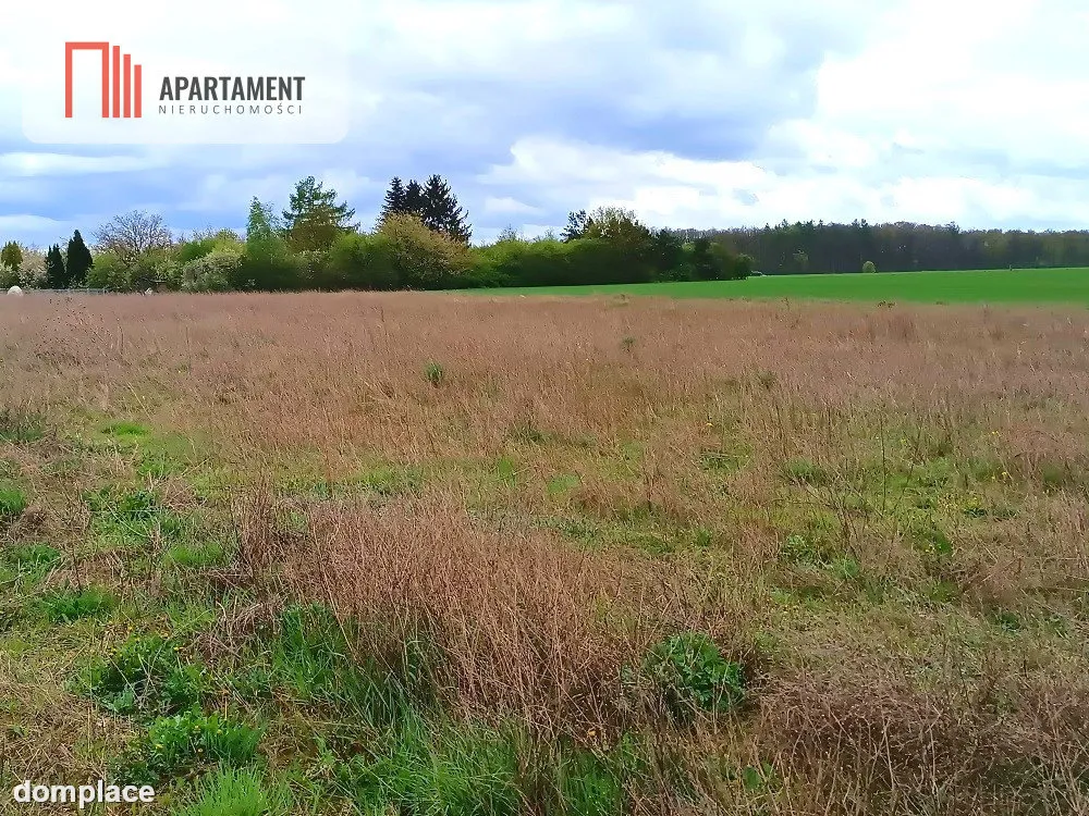 MORZEWIEC 1022m CISZA SPOKÓJ ŚCIANA LASU — zdjęcie 6