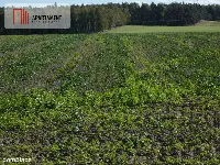 Działki z warunkami zabudowy blisko jezior i lasów — zdjęcie 2