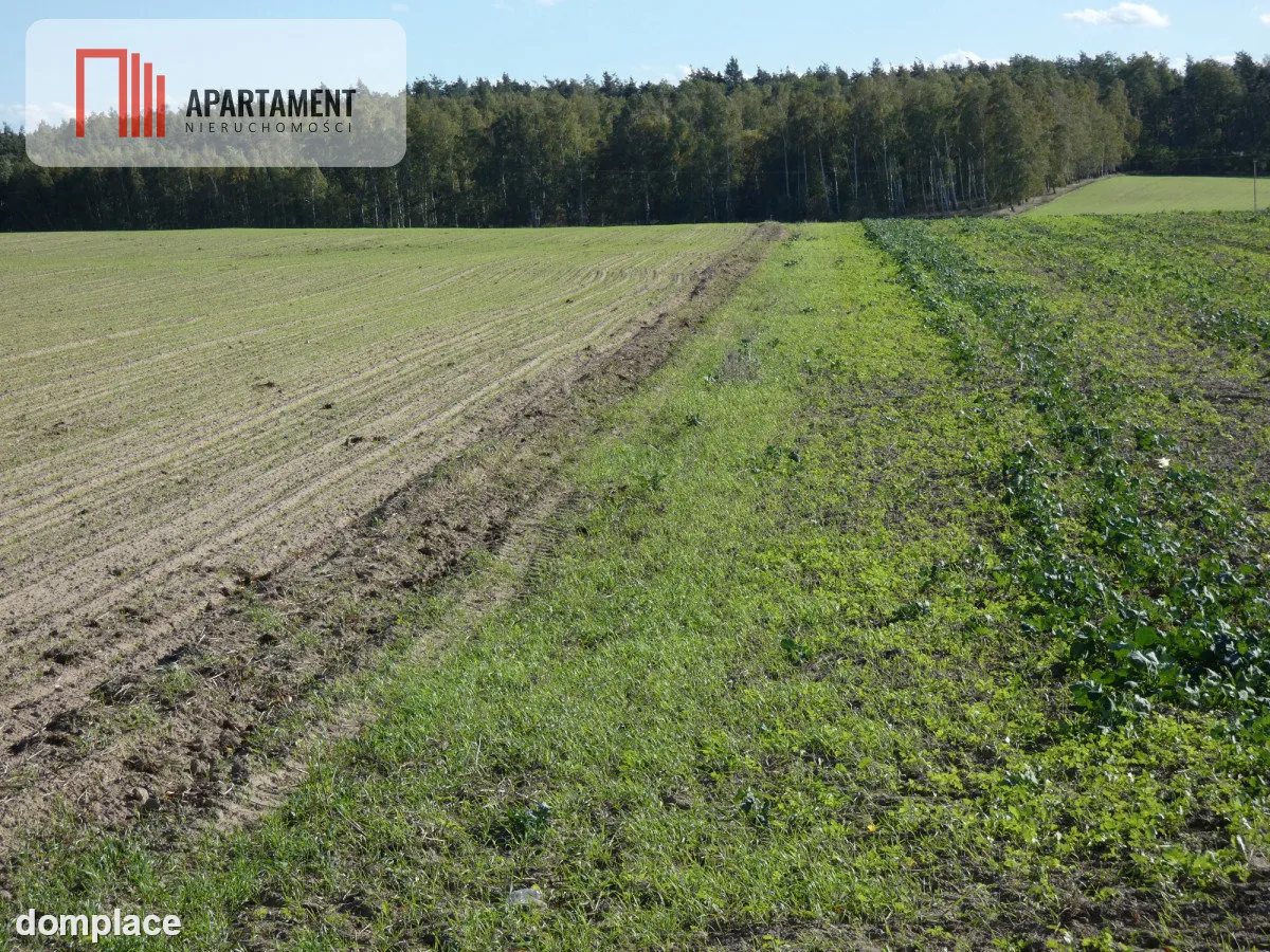 Działki z warunkami zabudowy blisko jezior i lasów — zdjęcie 3