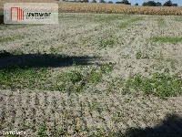 Działki z warunkami zabudowy blisko jezior i lasów — zdjęcie 7