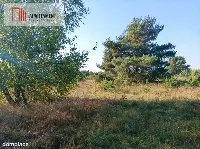 ATRAKCYJNA ZACISZNA I ZIELONA DZIAŁKA !!! — zdjęcie 1