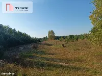 ATRAKCYJNA ZACISZNA I ZIELONA DZIAŁKA !!! — zdjęcie 3