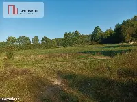 ATRAKCYJNA ZACISZNA I ZIELONA DZIAŁKA !!! — zdjęcie 4