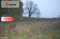 Tylko U NAS 4 Działki budowlana w Łubiance. — zdjęcie 2