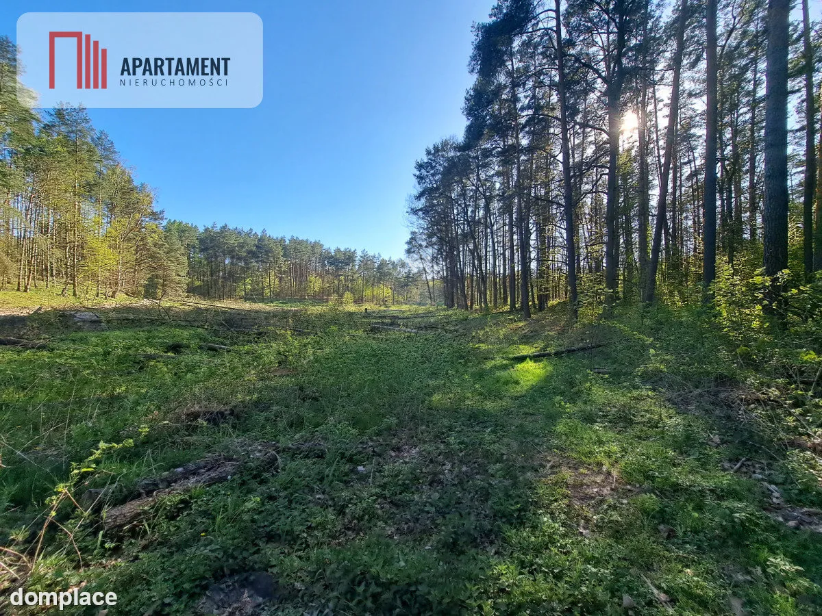 Działka nad jeziorem, z własnym strumykiem — zdjęcie 3