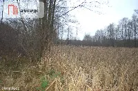 Pięknie położona duża działka w Sarnowie — zdjęcie 2