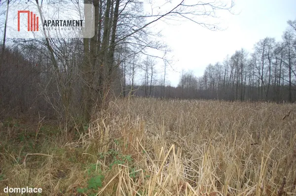 Pięknie położona duża działka w Sarnowie — zdjęcie 2