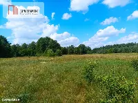 Pięknie położona duża działka w Sarnowie — zdjęcie 11