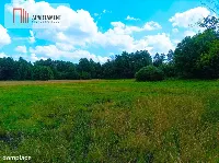 Pięknie położona duża działka w Sarnowie — zdjęcie 12