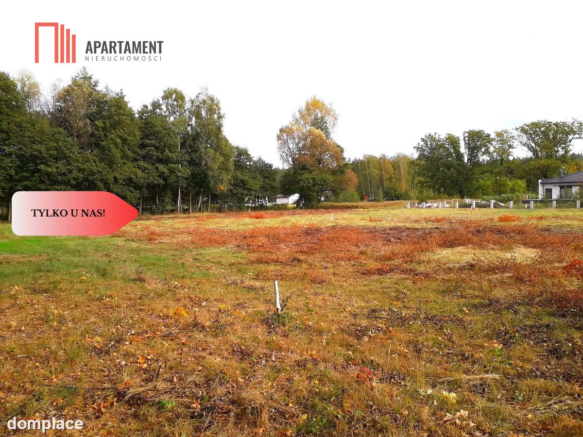 TYLKO U NAS !!! TOPORZYSKO 800 m2 SUPER LOKALIZACA — zdjęcie 9