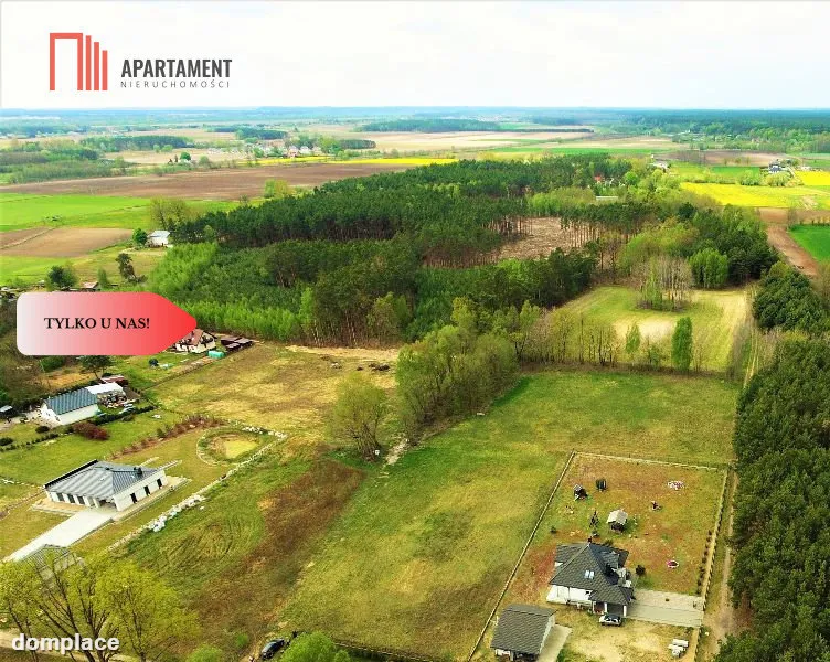 TYLKO U NAS !!! TOPORZYSKO 1000 m2 - LAS ICISZA — zdjęcie 7