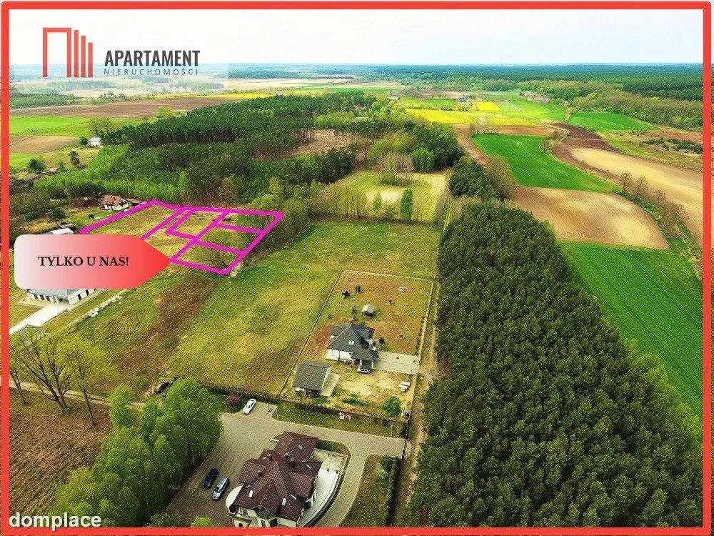 TYLKO U NAS !!! TOPORZYSKO 1000 m2 - LAS ICISZA — zdjęcie 6