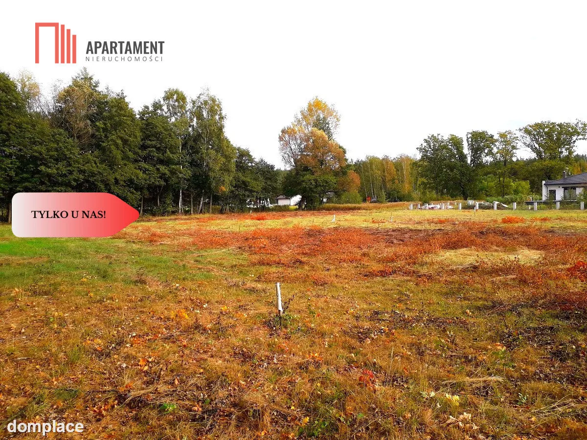 TYLKO U NAS !!! TOPORZYSKO 1000 m2 - LAS ICISZA — zdjęcie 11