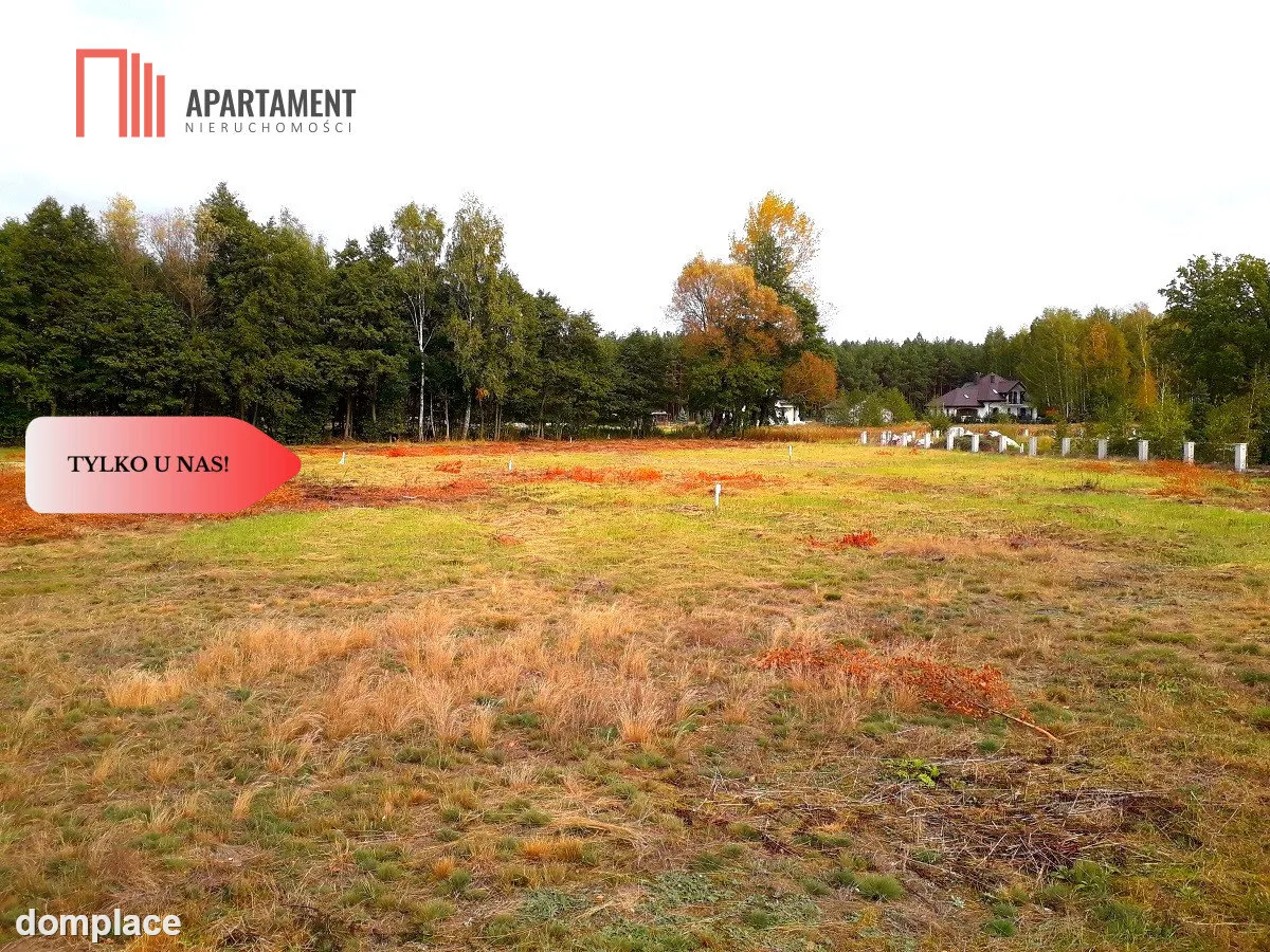 TYLKO U NAS !!! TOPORZYSKO 1000 m2 - LAS ICISZA — zdjęcie 12