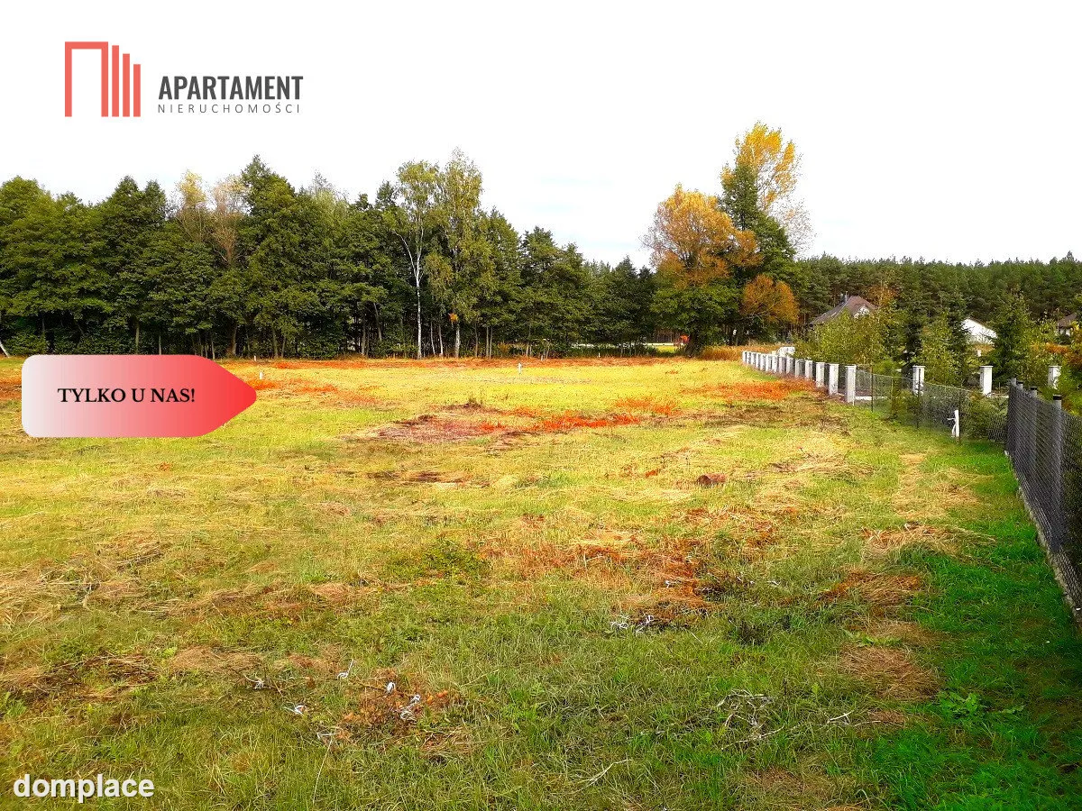 TYLKO U NAS !!! TOPORZYSKO 1000 m2 - LAS ICISZA — zdjęcie 4