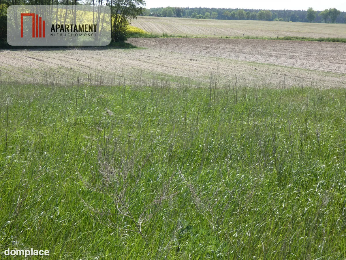 Działki budowlane z warunkami zabudowy — zdjęcie 3