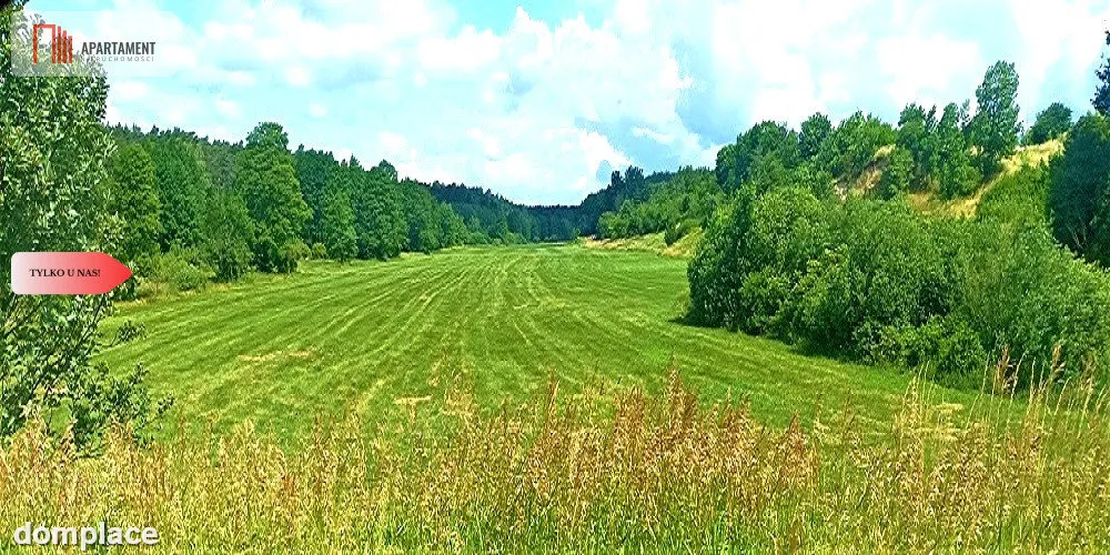 TYLKO U NAS - PAWŁÓWEK 1,8ha LAS CISZA SPOKÓJ — zdjęcie 7