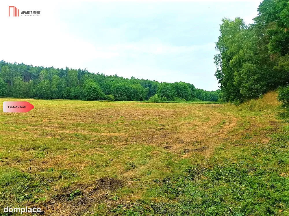 TYLKO U NAS - PAWŁÓWEK 1,8ha LAS CISZA SPOKÓJ — zdjęcie 3