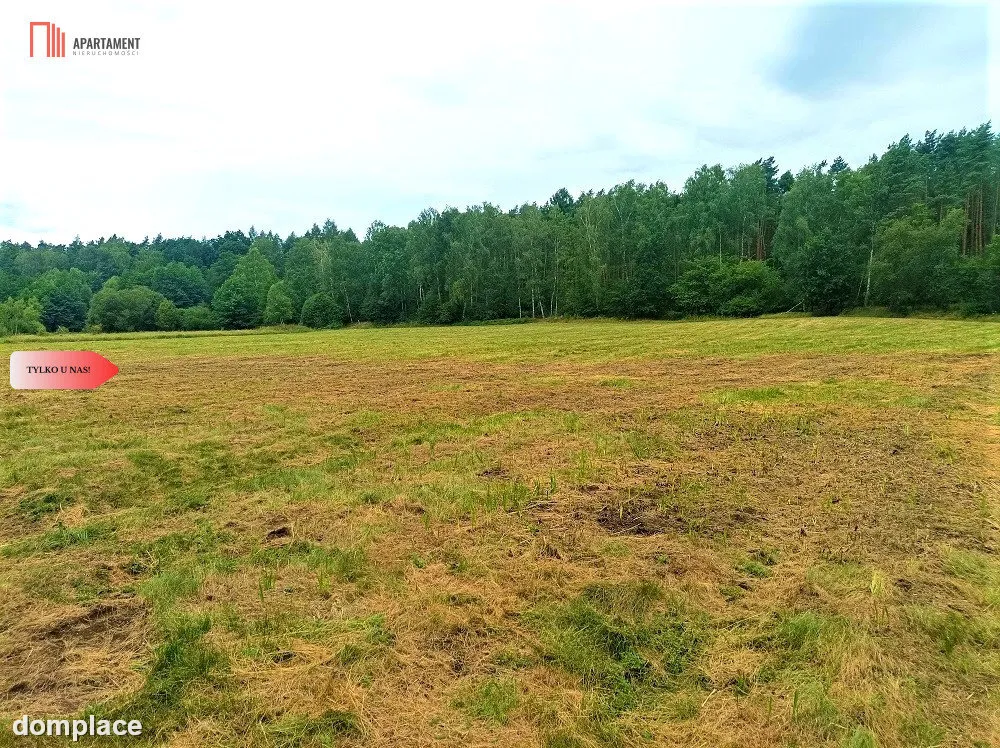 TYLKO U NAS - PAWŁÓWEK 1,8ha LAS CISZA SPOKÓJ — zdjęcie 6